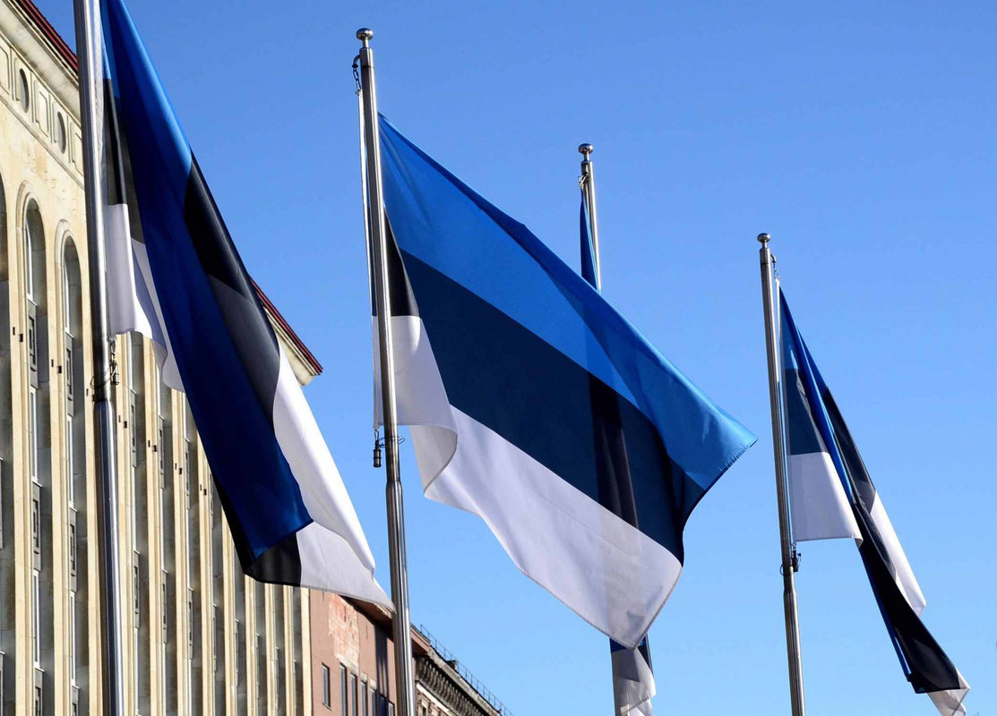 Estonian parliamentary election